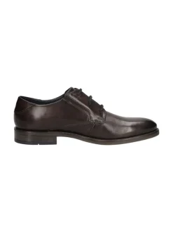 Bugatti Sula Business Lace Up - Brown